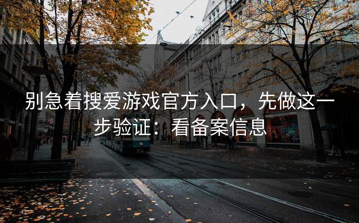 别急着搜爱游戏官方入口，先做这一步验证：看备案信息