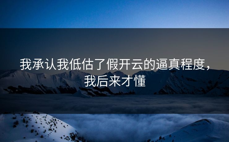 我承认我低估了假开云的逼真程度，我后来才懂